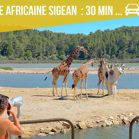 Les Jardins Du Phoebus Piscine Climatisation Parking By Lcg Gruissan