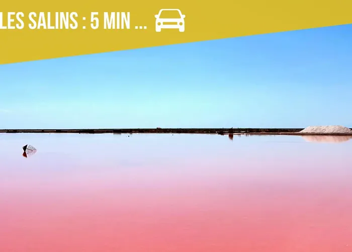 Lejlighed Les Jardins Du Phoebus Geolia Piscine Climatisation Parking By Lcg *